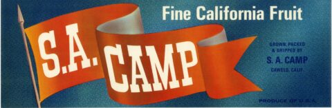 S. A. Camp